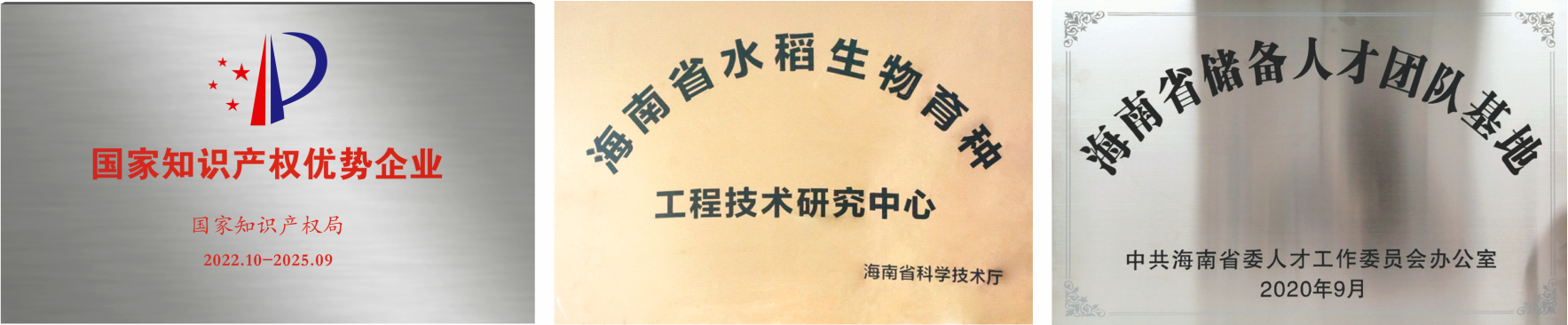 公司資質.png